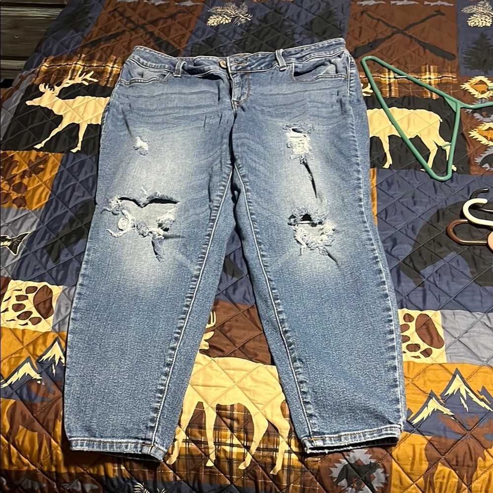 Maurice’s Distressed Blue Jeans size 18W short